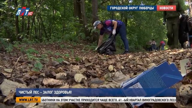 В Красковском лесу прошел общественный субботник смотреть онлайн