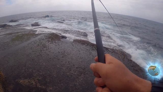 Rock Fishing , Mona Vale 21.11.20 смотреть онлайн