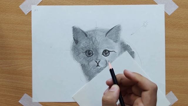 Как нарисовать КОШКУ карандашом ПОЭТАПНО для начинающих смотреть онлайн