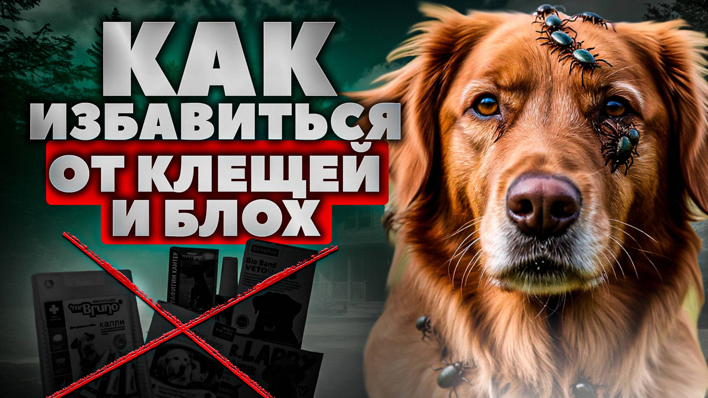 Как защитить собаку от клещей и блох. Лучшие препараты от Клещей для Животных 2025 смотреть онлайн