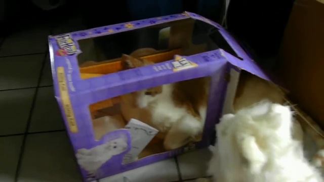 Furreal Cat In a Box смотреть онлайн