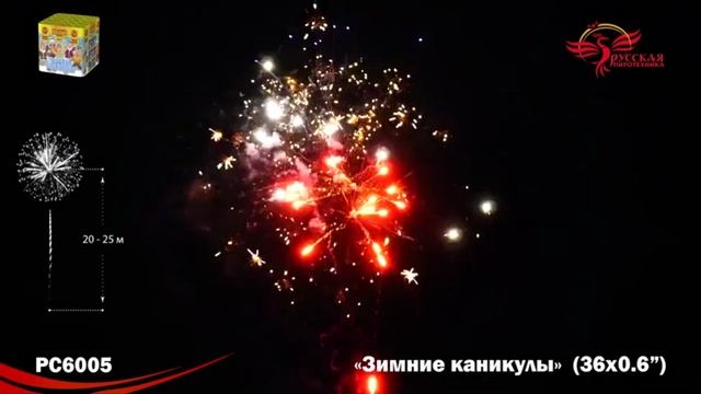 Зимние каникулы (0,6х36) (РС6005) смотреть онлайн