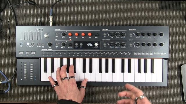 12- The Arturia MiniFreak- Oscillators: Bass