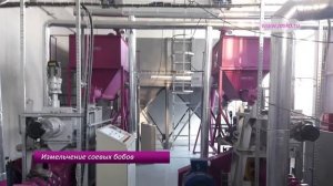 Цех производства полножирной экструдированной сои. Пусконаладочные работы
