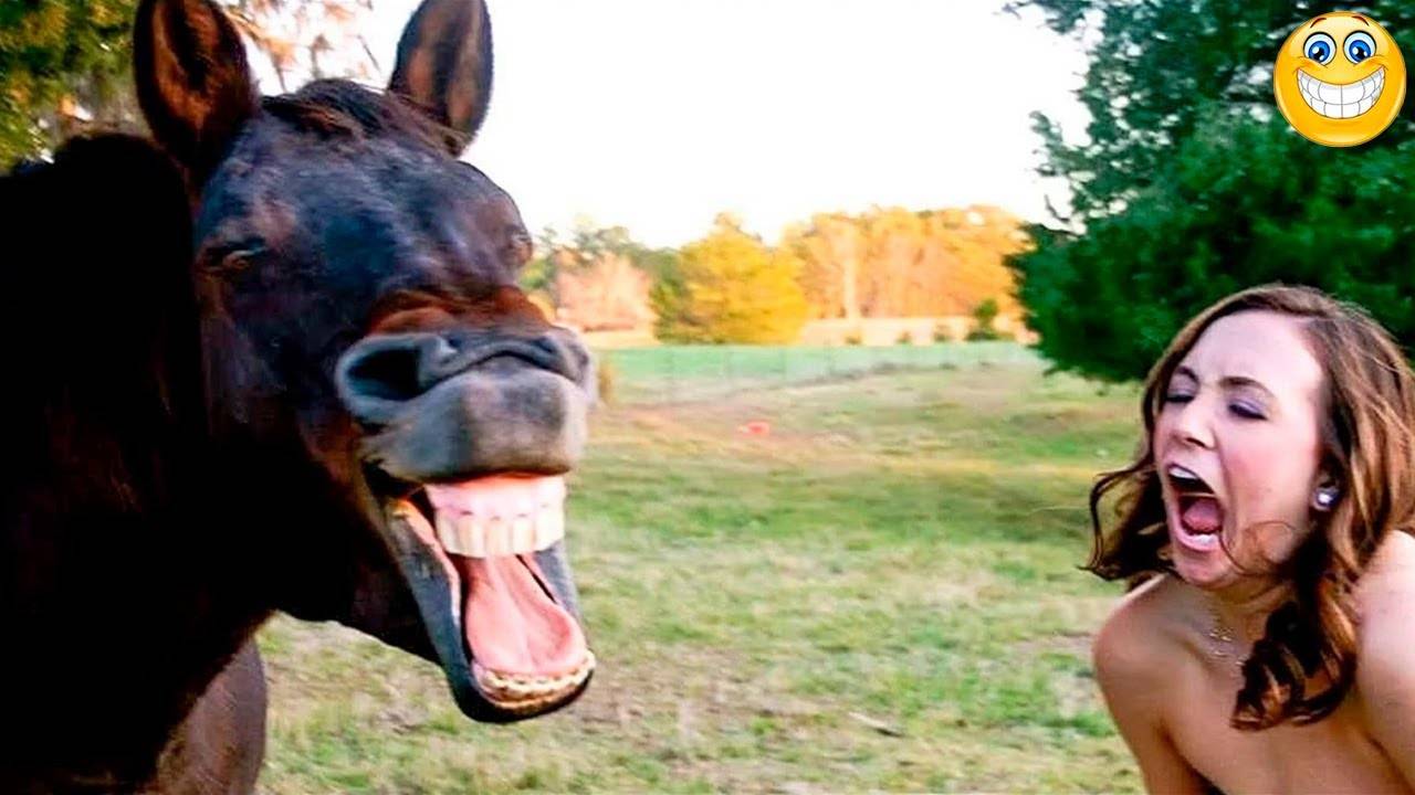 Я РЖАЛ ДО СЛЕЗ 😂 5 Минут ОТБОРНЫХ Русских приколов 2024 Смешные видео - Лучшие ПРИКОЛЫ смотреть онлайн