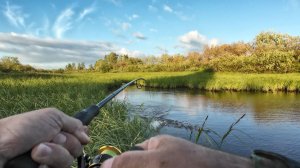 ПОЙМАЛ МЕШОК ЩУКИ С ЛУЖИ. РЫБАЛКА НА СПИННИНГ в маленькой луже.