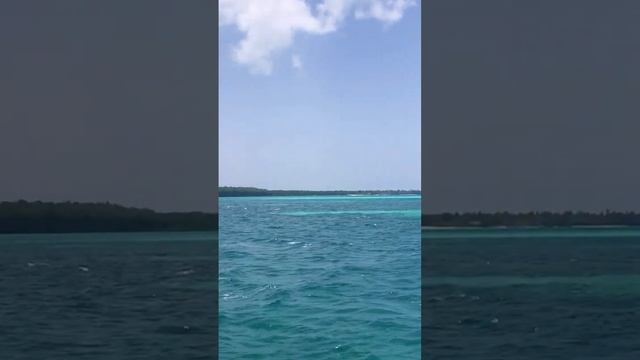 Красивое Карибское море по пути к Саоне -  shorts dominicana саона