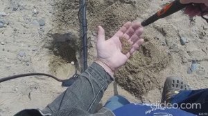 Отдыхающих полно, а золота нет