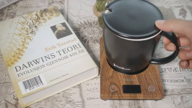 TOP 10: Best Coffee Mug Warmer 2021 | Cup & Coffee warmer Smart Thermostat смотреть онлайн