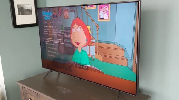 Samsung Q8FN (Q8/Q8F) 2018 TV Real Owner Review