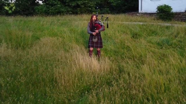 The Megalodon Reel смотреть онлайн