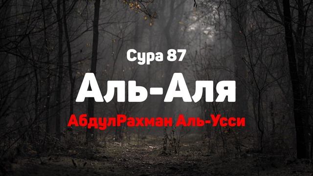 Сура 87 Аль-Аля - АбдулРахман Аль-Усси