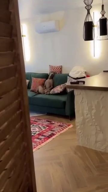 песель на диване смотреть онлайн