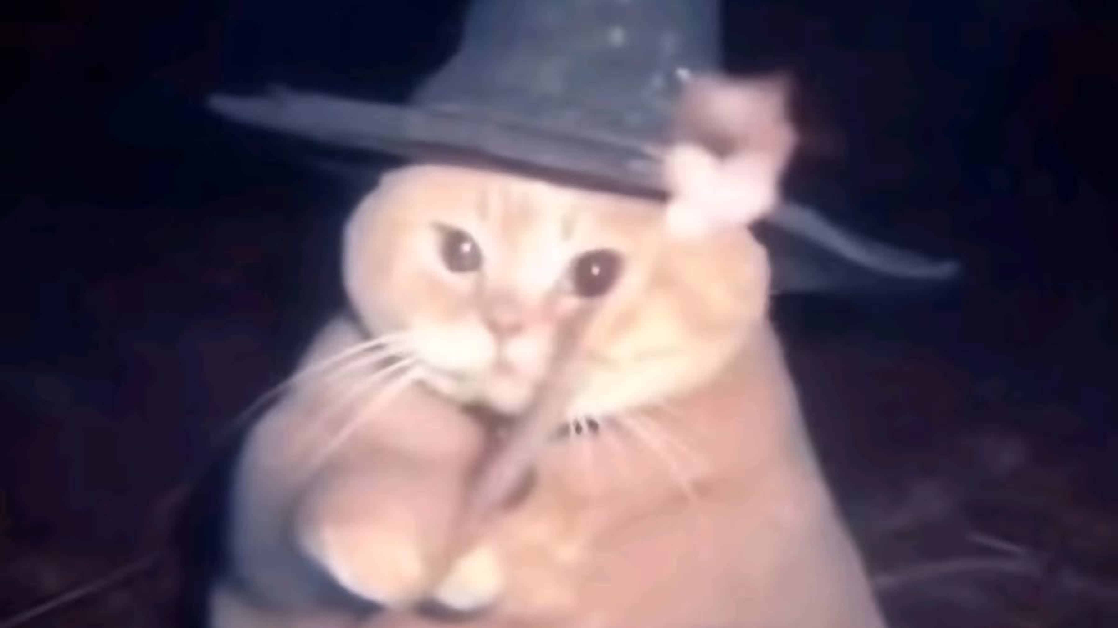 КОМАНДА И НЕМНОГО О НАС(Артем) COD Mobile