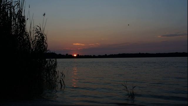 До Дона (cover Бутырка) смотреть онлайн