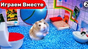 Лабиринт для Хомяка ! Вместе с Умным Хомяком выбираемся из СЛОЖНОГО ЛАБИРИНТА ! #топыкатегорий