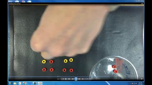 HMH Unit 3 Lesson 1 Exploration 2 with Lab смотреть онлайн
