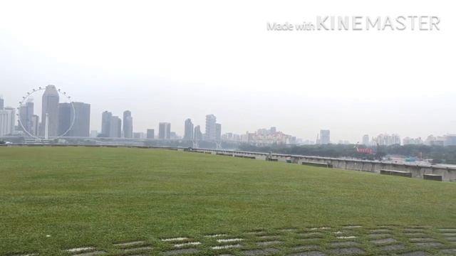 Marina Barrage Singapore Road trip My 2nd Premiere 🥰❤️ смотреть онлайн