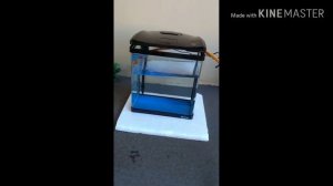 Review e testando meu Boyu EC-400