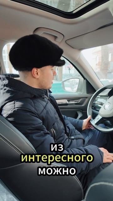 SKODA KODIAQ смотреть онлайн