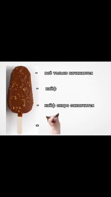 бобёр #мем #пов #мемы #мороженое #shorts смотреть онлайн
