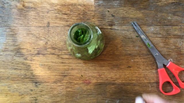 Chlorophyll Fluorescence - How to isolate chlorophyll and make it glow смотреть онлайн