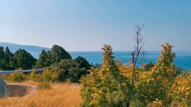 Кабардинка, Батарея №394 Капитана А.Э.Зубкова 04.08.21 смотреть онлайн