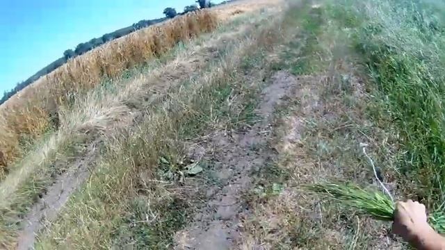 Ścinanie trawy i wierzby dla królików! [Vlog #8] смотреть онлайн
