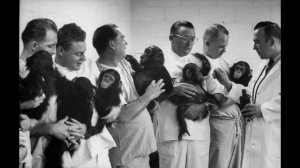 Животные в космосе: Истории первых космонавтов