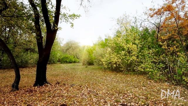 Цветокоррекция Colorista II (AE) смотреть онлайн