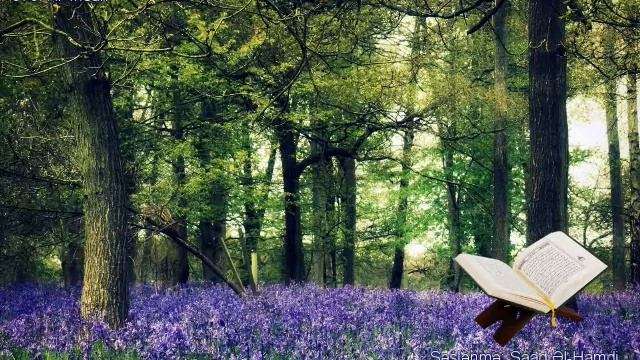 076. Сура Аль-Инсан
Прекрасное чтение Корана Чтец: Саадом Аль Гамиди смотреть онлайн