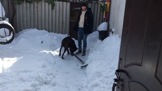 Zeus убирает снег ) смотреть онлайн