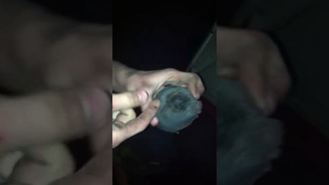 Тест драйв