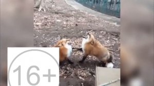 Мое промо телеканал солнце