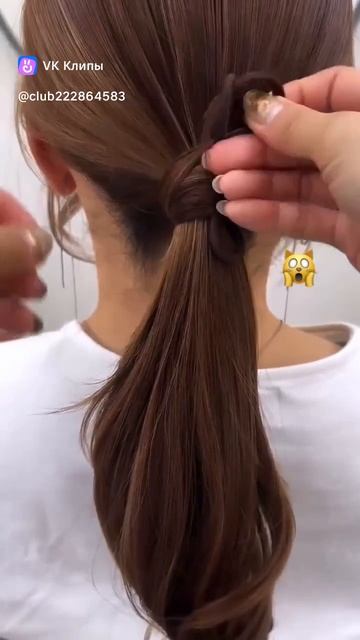 Clip-222864583_456239073.mp4