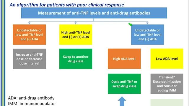 Biosimilars: A New Era of Gastroenterology Management Considerations (Part 2) смотреть онлайн