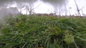 Cat with GoPro : cats arguing over territory : Ep 62