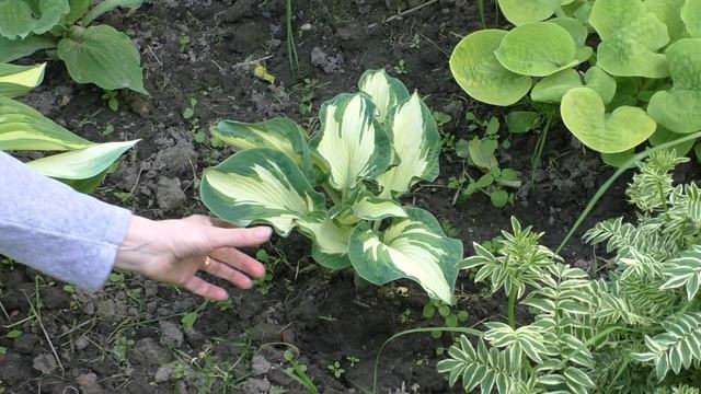 Хосты. смотреть онлайн