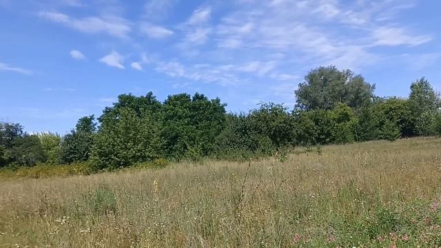 27 июля праздник день Стефана Чудотворца. Что делать нельзя. Народные приметы и традиции. смотреть онлайн