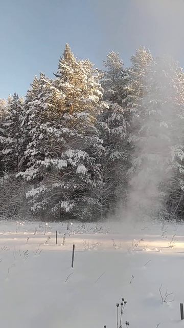 Эффект Мпембы смотреть онлайн