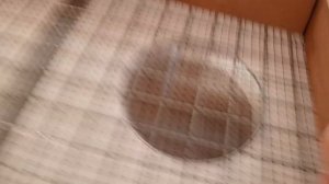 Инкубатор Матрица Вегас на 90 яиц. Обзор.