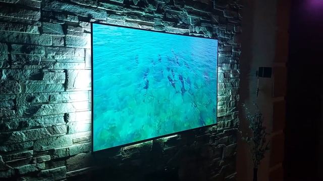 OLED Philips 806 (2022) смотреть онлайн