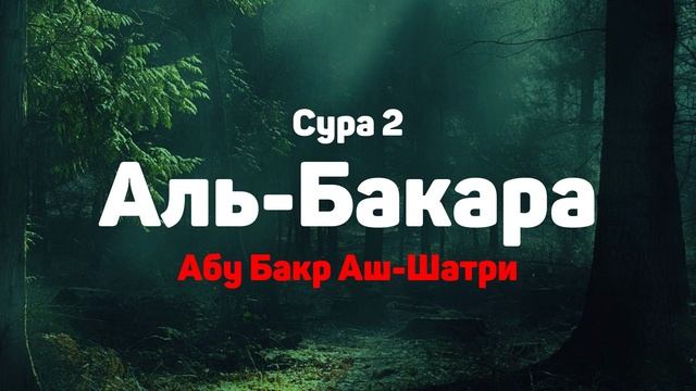 Сура 2 Аль-Бакара - Абу Бакр Аш-Шатри смотреть онлайн