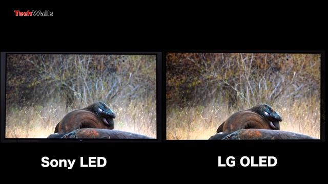 LG OLED vs Sony LED 4K HDR TV - Image Quality (After Calibration) смотреть онлайн