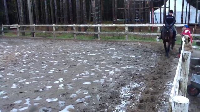 Паралимпийская выездка в Петербурге осенью 2012 смотреть онлайн