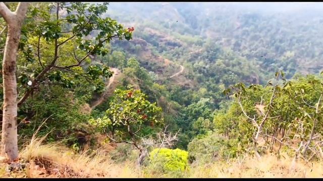 "Ultimate Guide to Pachmarhi: Explore 20 Best Places & Travel Tips" смотреть онлайн