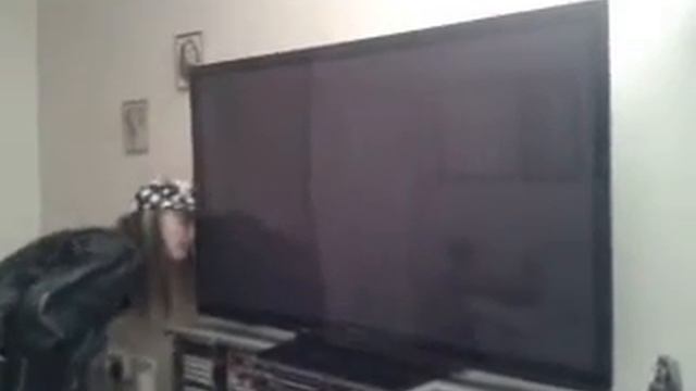My new Panasonic 50 inch plasma TV смотреть онлайн