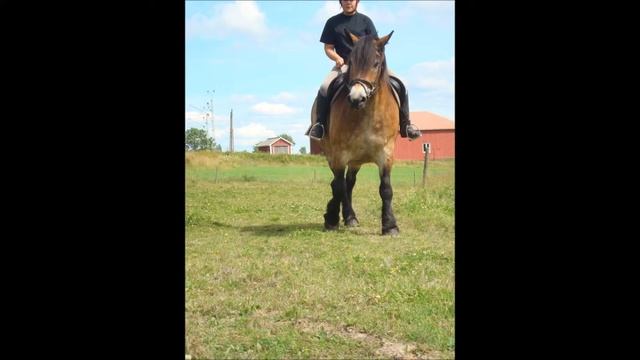 Hemlin best of two worlds смотреть онлайн
