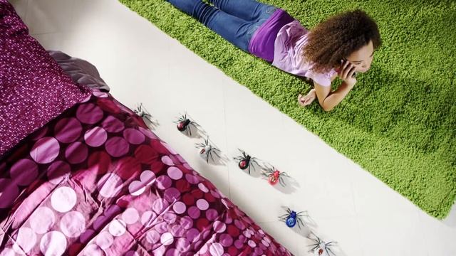 Wild Pets Spider Official TV Commercial Full HD,1920x1080 смотреть онлайн