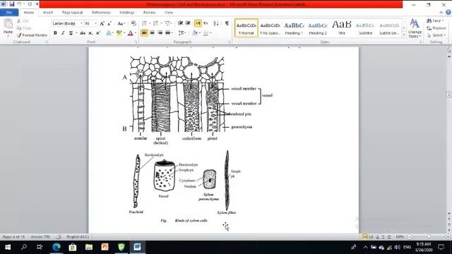 Pharm 702  Lec  Of Wood